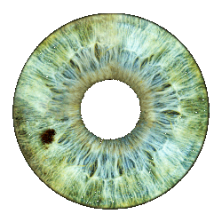 Logo de l'Association Gnut 06